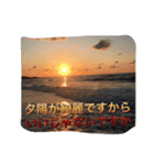 魚ー魚（個別スタンプ：2）
