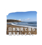 魚ー魚（個別スタンプ：4）