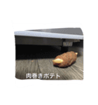 魚ー魚（個別スタンプ：6）