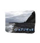 魚ー魚（個別スタンプ：8）