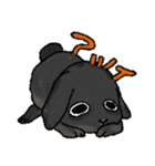 フレンズ ラビット（個別スタンプ：11）