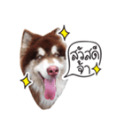 One Face Fuku（個別スタンプ：1）