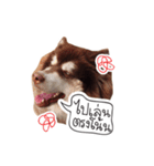 One Face Fuku（個別スタンプ：2）