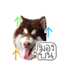 One Face Fuku（個別スタンプ：3）
