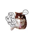 One Face Fuku（個別スタンプ：5）