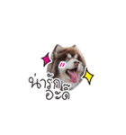 One Face Fuku（個別スタンプ：14）