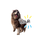 One Face Fuku（個別スタンプ：15）