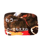 猫のちゃっぴ（個別スタンプ：7）