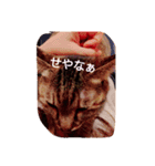 猫のちゃっぴ（個別スタンプ：12）