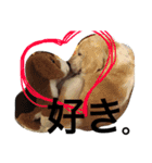 ぼく、むさし。（個別スタンプ：8）