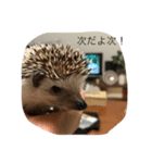 ソラちゃん I（個別スタンプ：2）