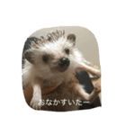 ソラちゃん I（個別スタンプ：5）