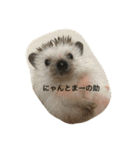 ソラちゃん I（個別スタンプ：16）