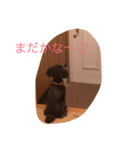 ショコラの1日。（個別スタンプ：2）