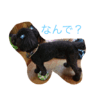 ショコラの1日。（個別スタンプ：5）