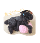ショコラの1日。（個別スタンプ：7）