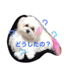ウォッちゃんとピッちゃん仲良しスタンプ（個別スタンプ：3）