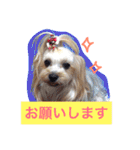 ウォッちゃんとピッちゃん仲良しスタンプ（個別スタンプ：4）