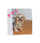 ウォッちゃんとピッちゃん仲良しスタンプ（個別スタンプ：5）