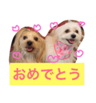 ウォッちゃんとピッちゃん仲良しスタンプ（個別スタンプ：6）