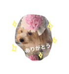ウォッちゃんとピッちゃん仲良しスタンプ（個別スタンプ：8）