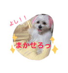 ウォッちゃんとピッちゃん仲良しスタンプ（個別スタンプ：9）