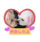 ウォッちゃんとピッちゃん仲良しスタンプ（個別スタンプ：10）
