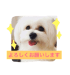 ウォッちゃんとピッちゃん仲良しスタンプ（個別スタンプ：11）
