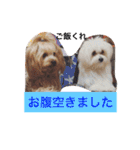 ウォッちゃんとピッちゃん仲良しスタンプ（個別スタンプ：13）