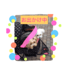ウォッちゃんとピッちゃん仲良しスタンプ（個別スタンプ：14）