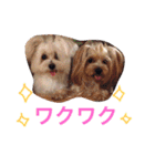 ウォッちゃんとピッちゃん仲良しスタンプ（個別スタンプ：18）