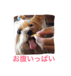 ウォッちゃんとピッちゃん仲良しスタンプ（個別スタンプ：21）