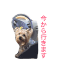 ウォッちゃんとピッちゃん仲良しスタンプ（個別スタンプ：24）