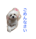 ウォッちゃんとピッちゃん仲良しスタンプ（個別スタンプ：28）