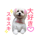 ウォッちゃんとピッちゃん仲良しスタンプ（個別スタンプ：32）