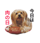 ウォッちゃんとピッちゃん仲良しスタンプ（個別スタンプ：34）