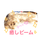 ウォッちゃんとピッちゃん仲良しスタンプ（個別スタンプ：37）