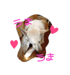 どたばたシェパ日記Ⅱ（個別スタンプ：12）