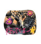 どたばたシェパ日記Ⅱ（個別スタンプ：25）