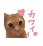 むぎセット。たまにもぐ（個別スタンプ：1）