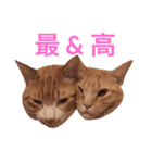 むぎセット。たまにもぐ（個別スタンプ：4）