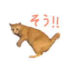 むぎセット。たまにもぐ（個別スタンプ：10）