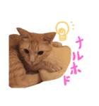 むぎセット。たまにもぐ（個別スタンプ：11）