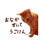 むぎセット。たまにもぐ（個別スタンプ：13）