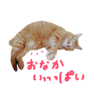 むぎセット。たまにもぐ（個別スタンプ：14）