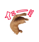 むぎセット。たまにもぐ（個別スタンプ：18）