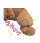 むぎセット。たまにもぐ（個別スタンプ：21）