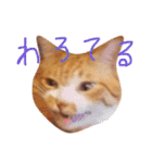 むぎセット。たまにもぐ（個別スタンプ：22）
