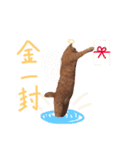 むぎセット。たまにもぐ（個別スタンプ：24）