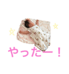 4ヶ月（個別スタンプ：32）